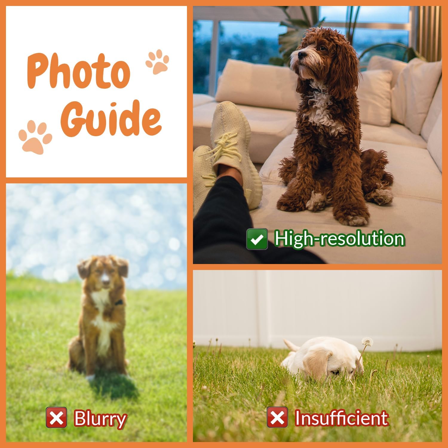 Customised Photo Pet Home Pill - đánh giá và giá Home Textiles Images