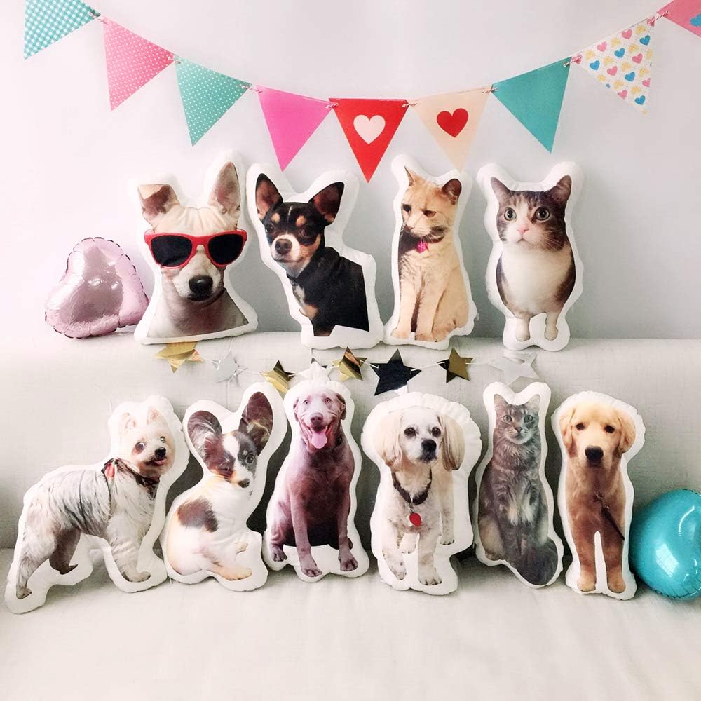 Customised Photo Pet Home Pill - đánh giá và giá Home Textiles Images